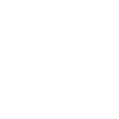 Retina